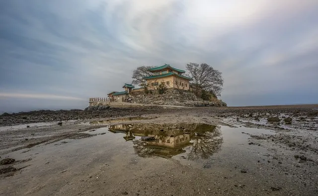 서산 개심사 청벚꽃 개화시기 명소_3