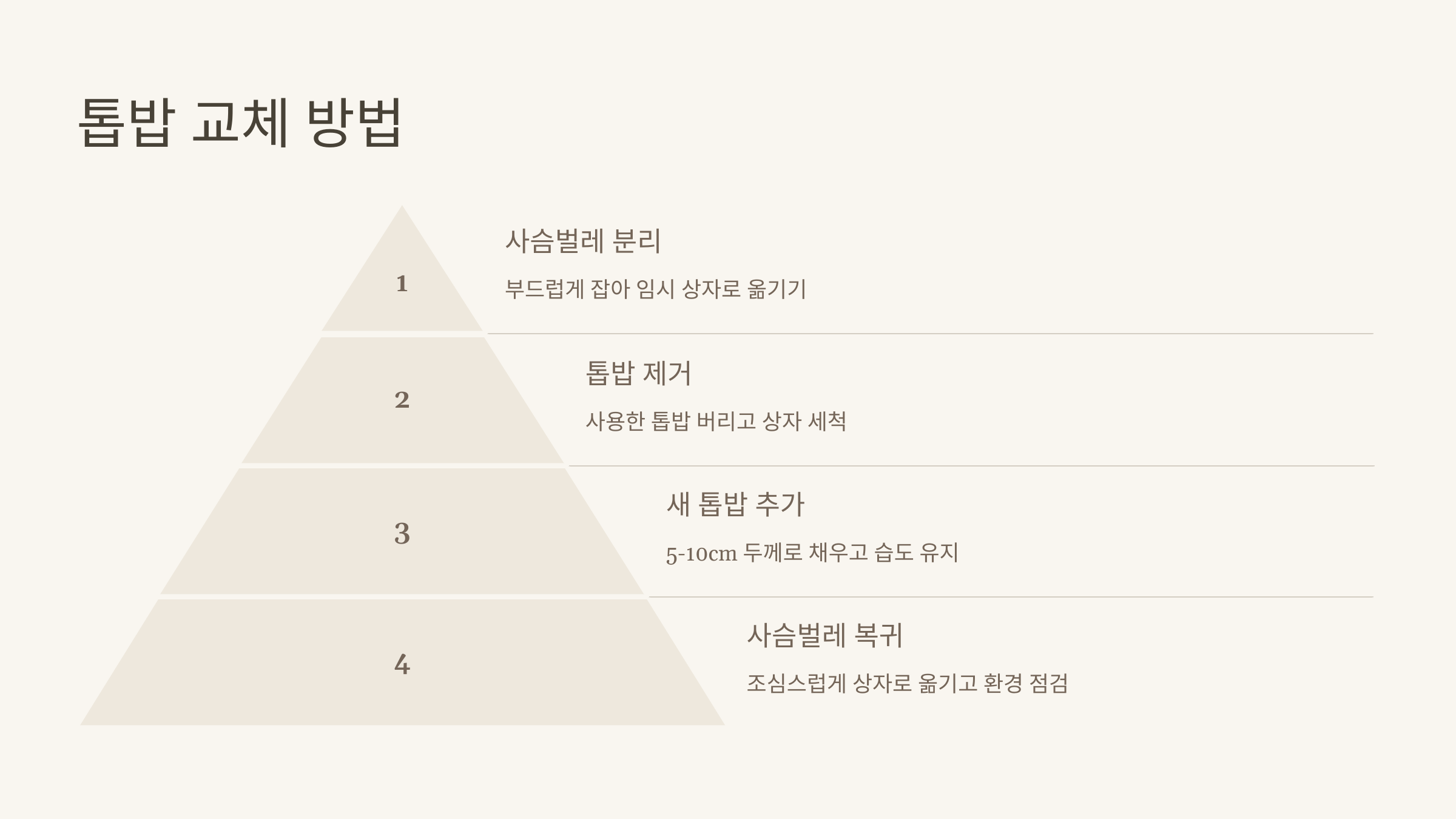 사슴벌레 사진입니다.