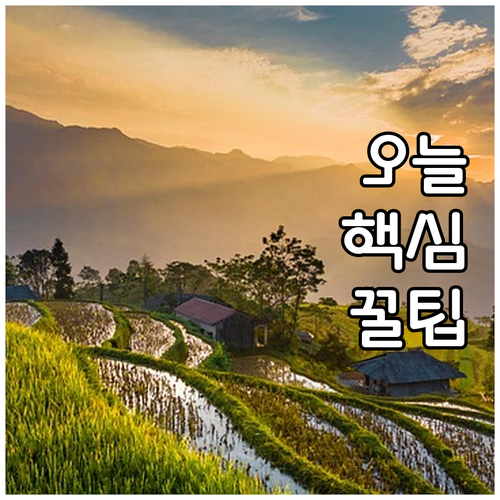 제주항공 현대카드 M포인트 혜택: 똑..