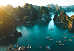 하노이 하롱베이