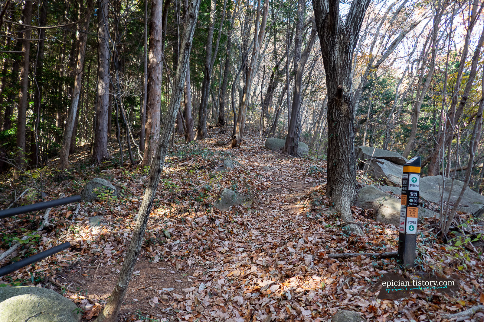 낙엽이 깔린 탐방로