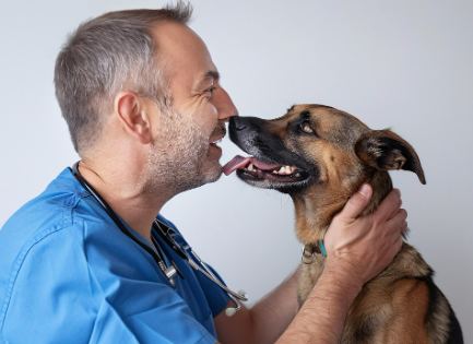 2026 반려동물 등록비 / 유기동물 입양비 지원금 안내 