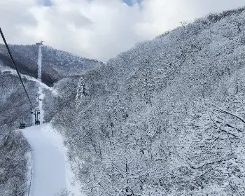 발왕산 케이블카_25