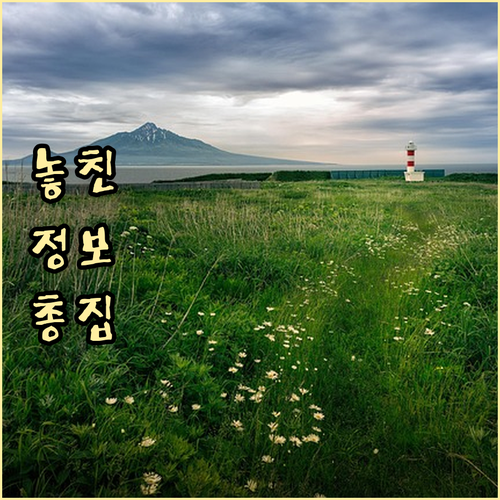 장안동 쓰레기 배출 요일 궁금? 과태..