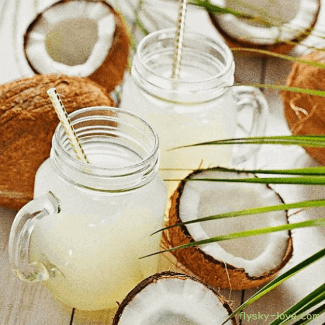 코코넛워터 효능