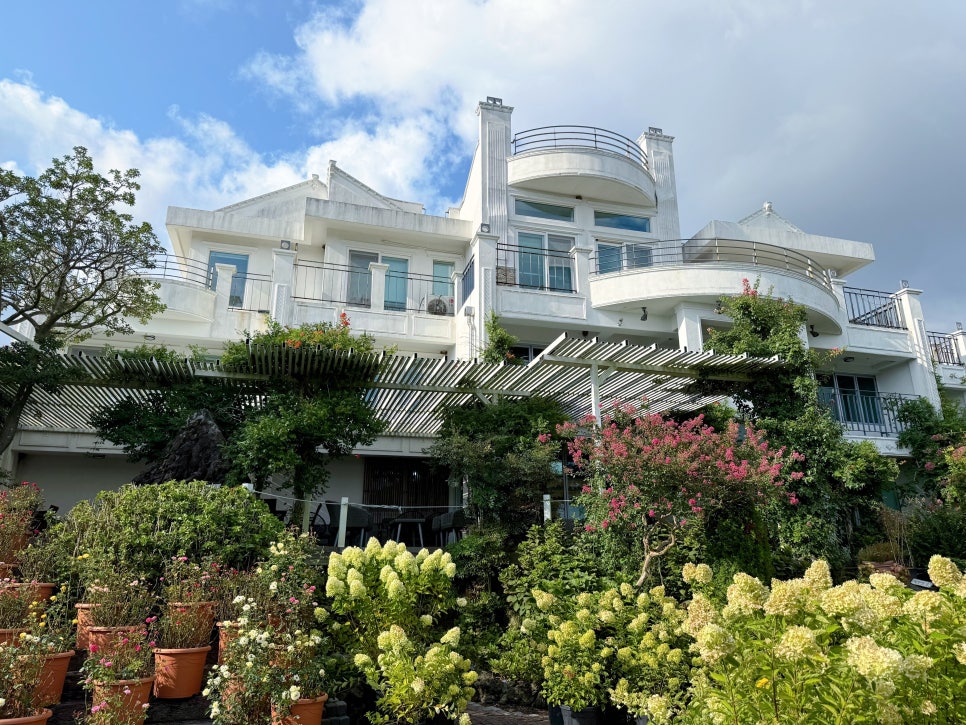 제주 핑크뮬리 명소 마노르블랑