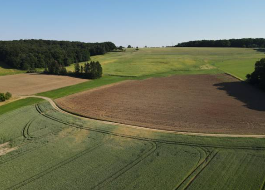 기토일간 여성의 성격, 연애, 직업적 특징