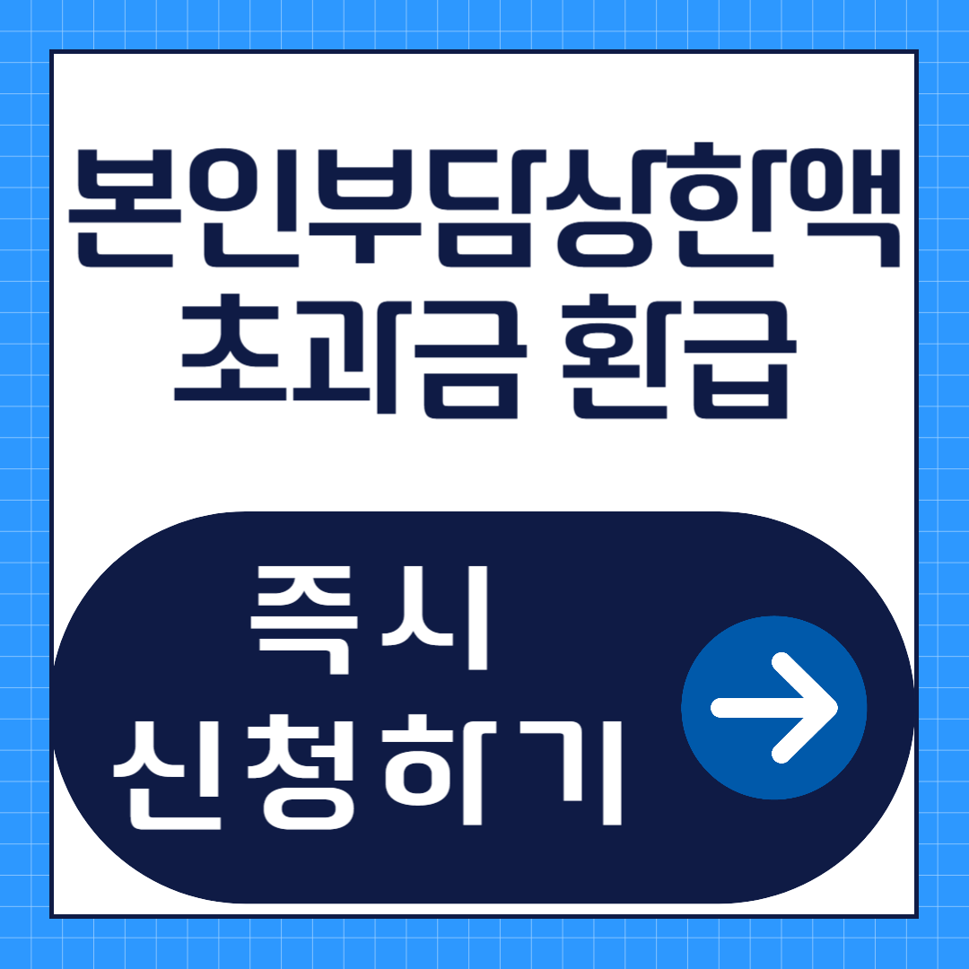 건강보험 본인부담상한제 환급 신청방법