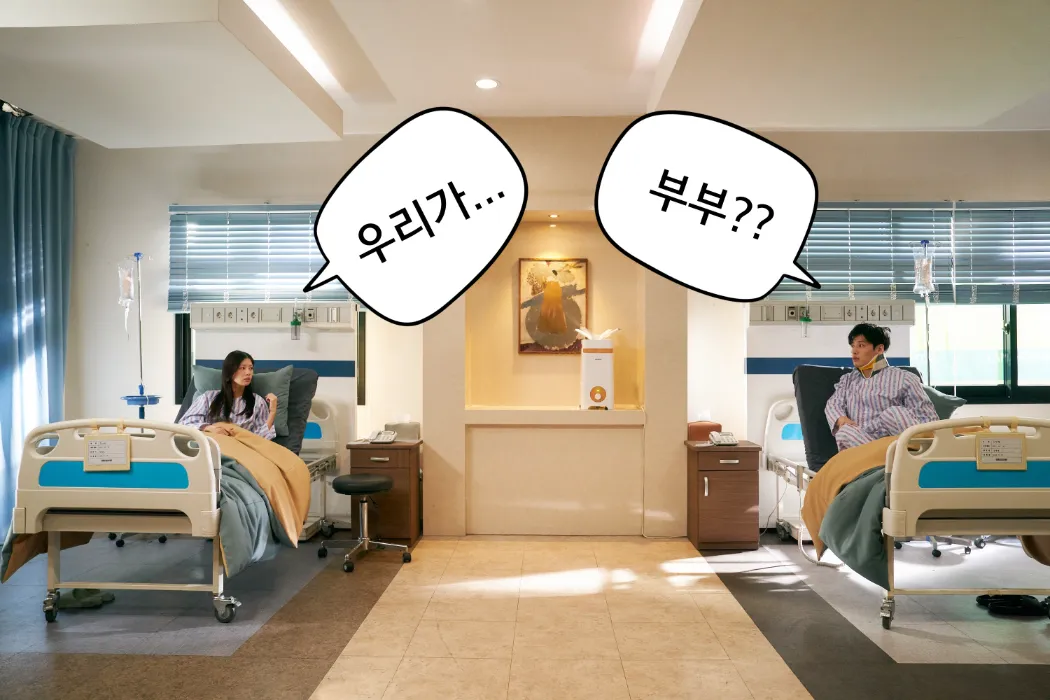 동반기억상실에 걸린 나라와 정열