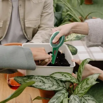 파종 도구 선택 파종기 호미 삽 흙손 사용 팁_17