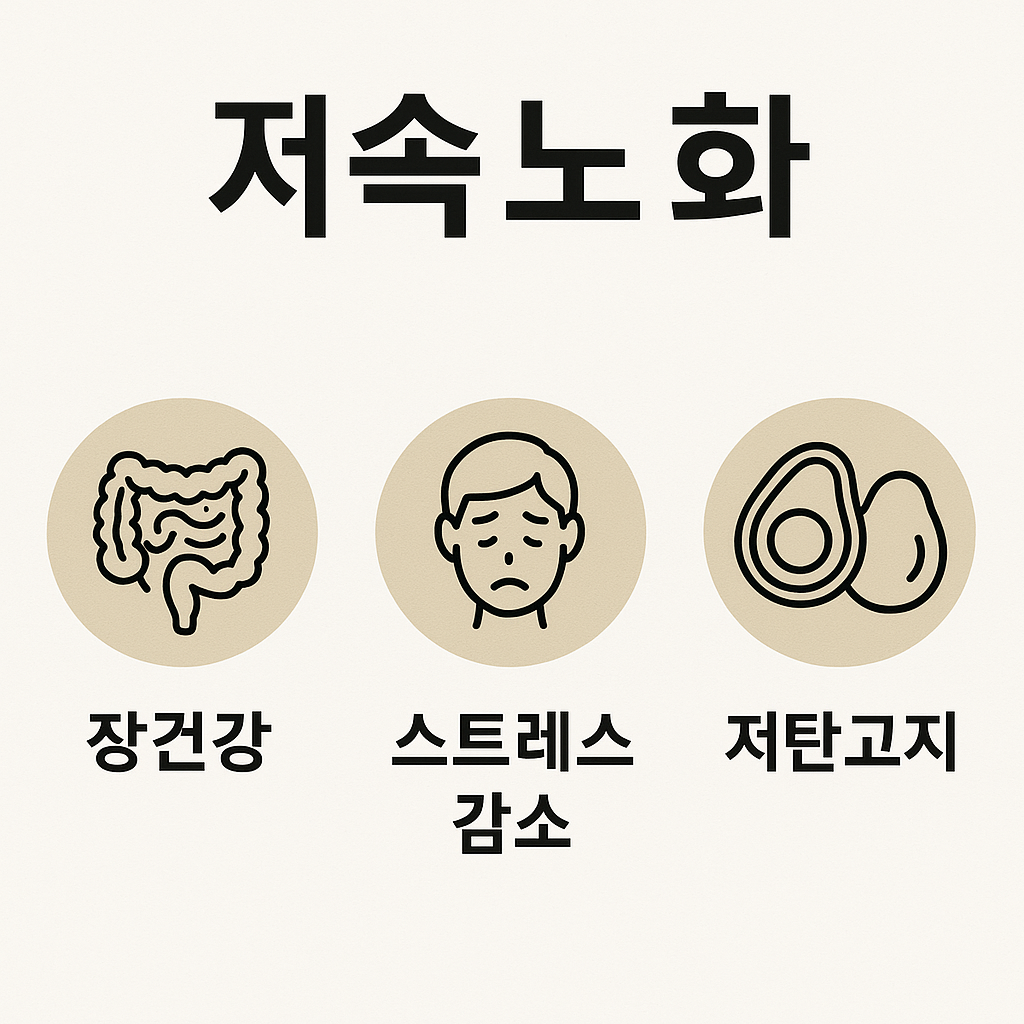 저속노화_장건강_스트레스_저탄고지