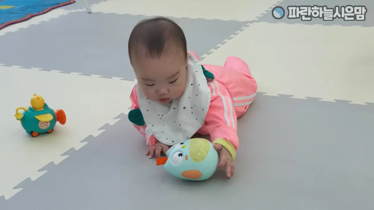 맘마맘 부엉이 오뚝이