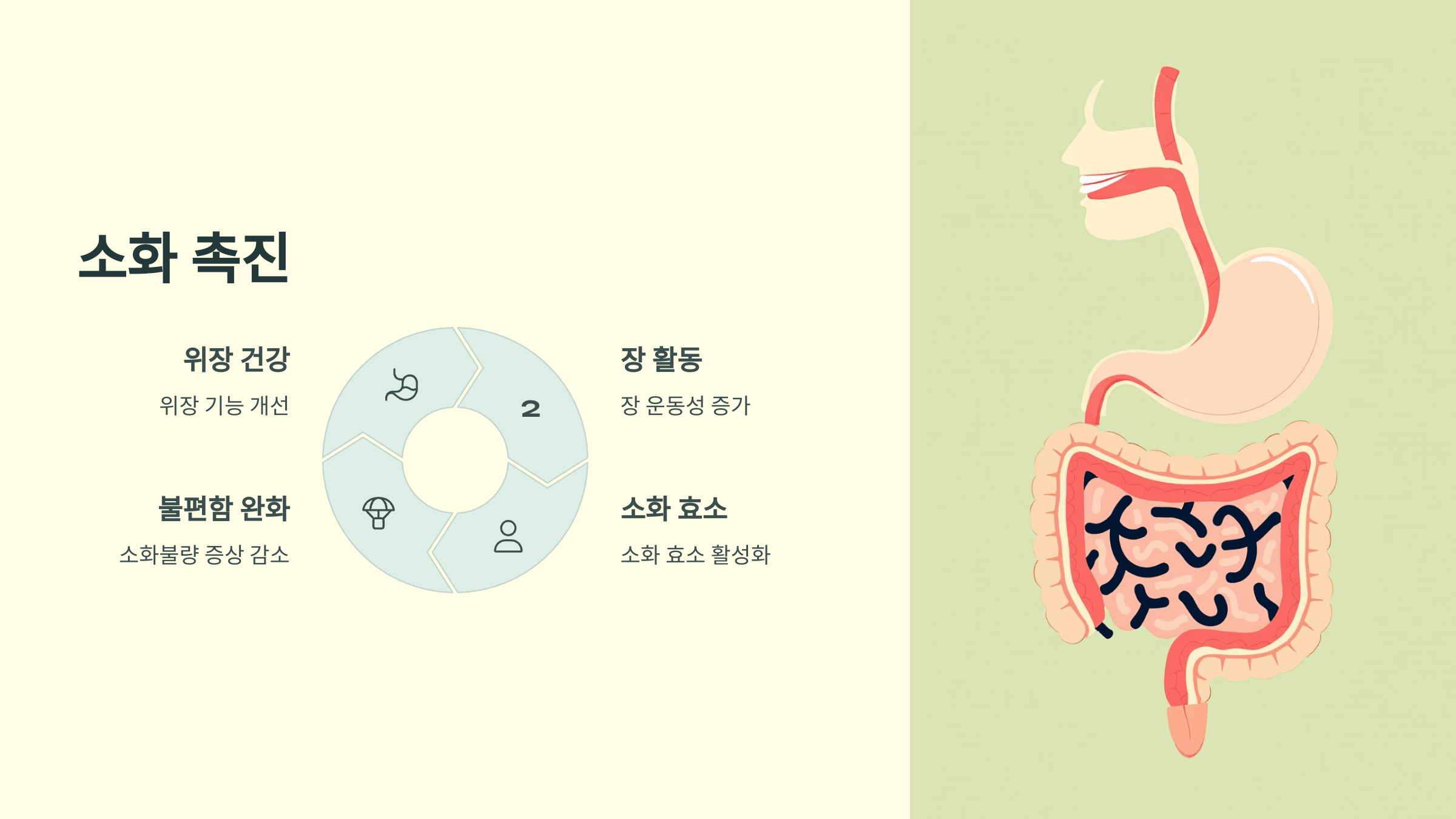 메밀차 사진입니다.