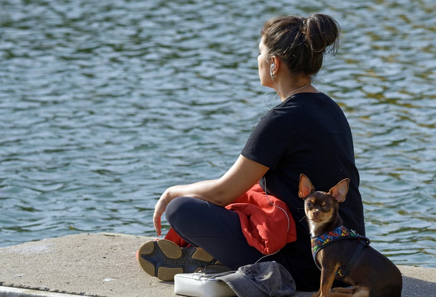 정신적 평화를 위한 마음 챙김과 명상: 하루 10분 명상법