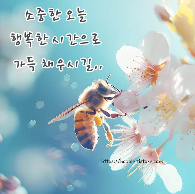 기분좋은 아침인사말