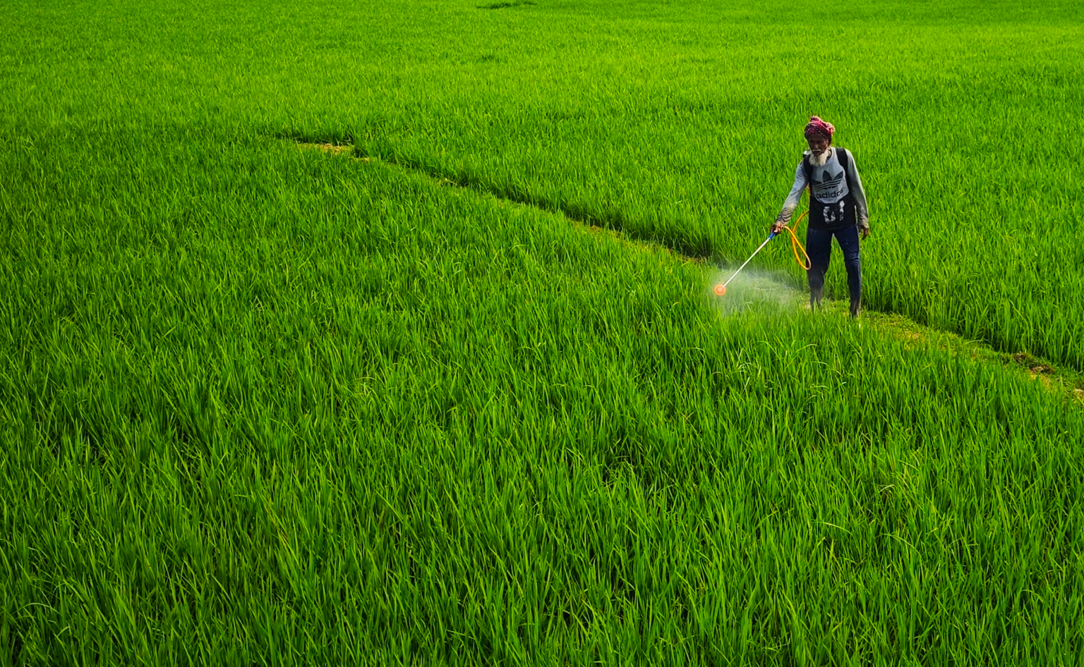 밭에-약-치는-사람-사진