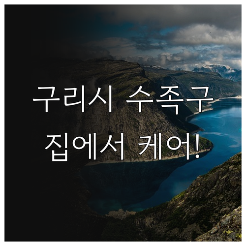 구리시 수족구 전염 예방과 집에서 케..