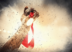 코리아에셋투자증권 배당금