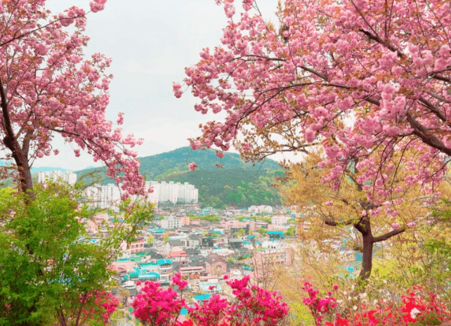 전주완산공원