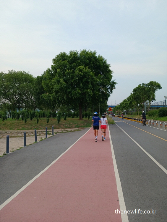 강변 러닝코스에서 함께 뛰는 사람들 – 마른비만 해결 운동 조깅