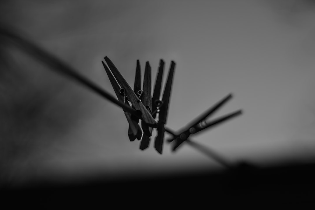 Peg