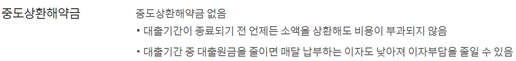 신한은행 쏠편한 비상금대출