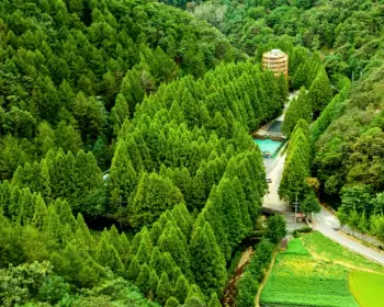 장태산 자연휴양림_6