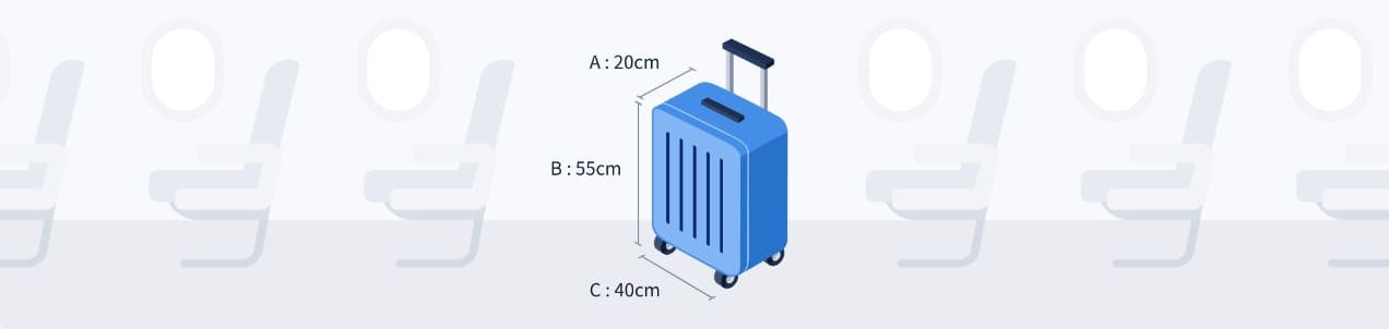 휴대용 수하물 규격