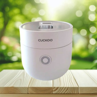 쿠쿠 압력밥솥 6인용 가격 비교 정리