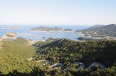 흑산도 홍어 가격