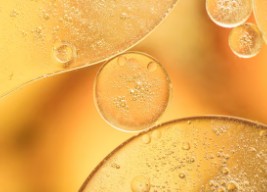 올리고당-물엿-차이-4