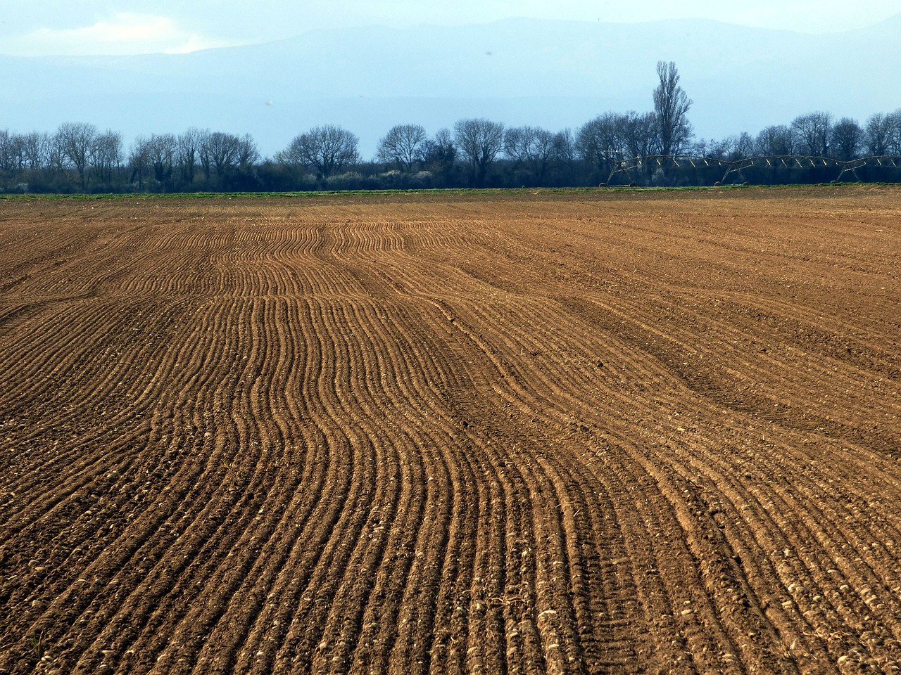 공익직불금 신청방법