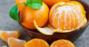 위에 좋은 음식 총정리