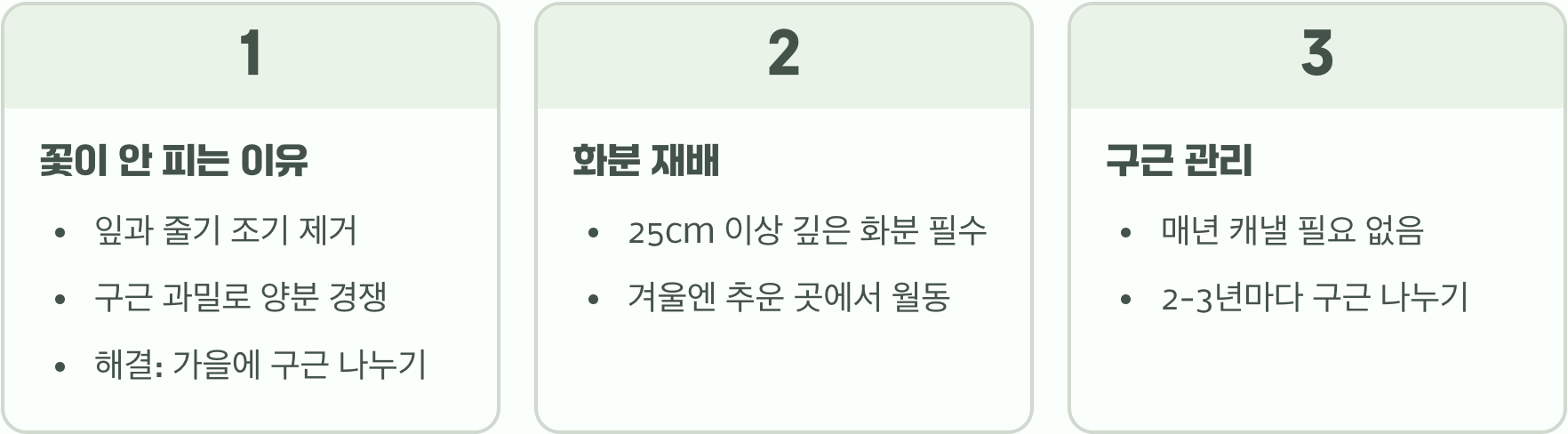 가을에 심는 백합 구근, 실패 없이 심는 시기와 올바른 깊이 A to Z