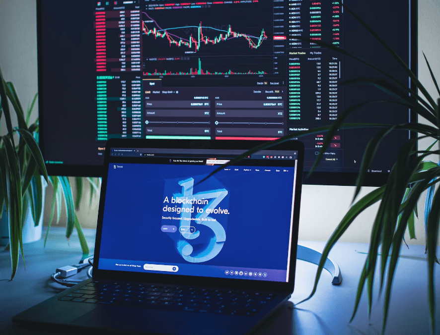 암호화폐 화이트리스트