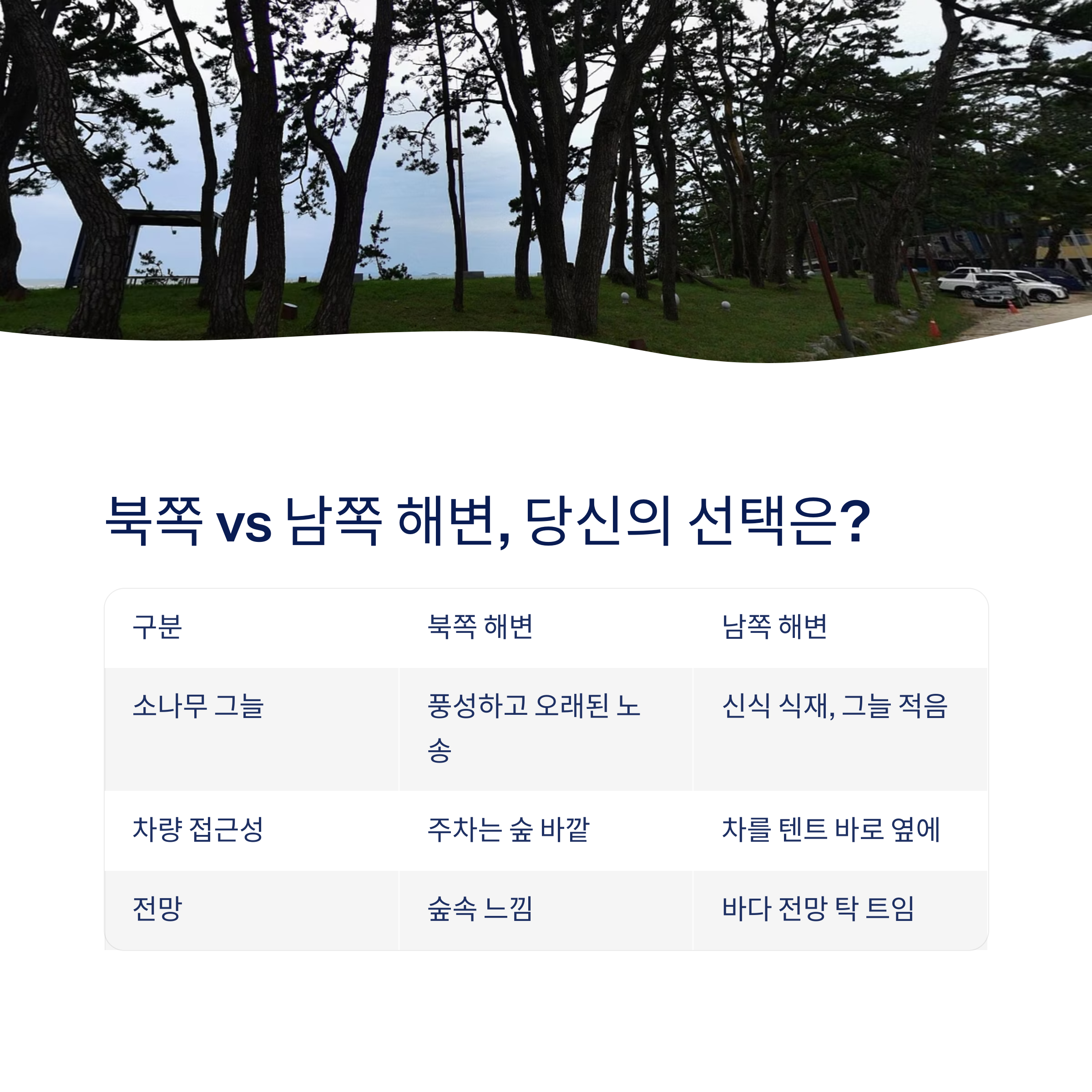 북쪽 남쪽 해변 선택은?