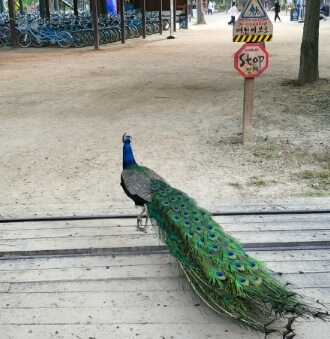 지하철 남이섬 가는 방법