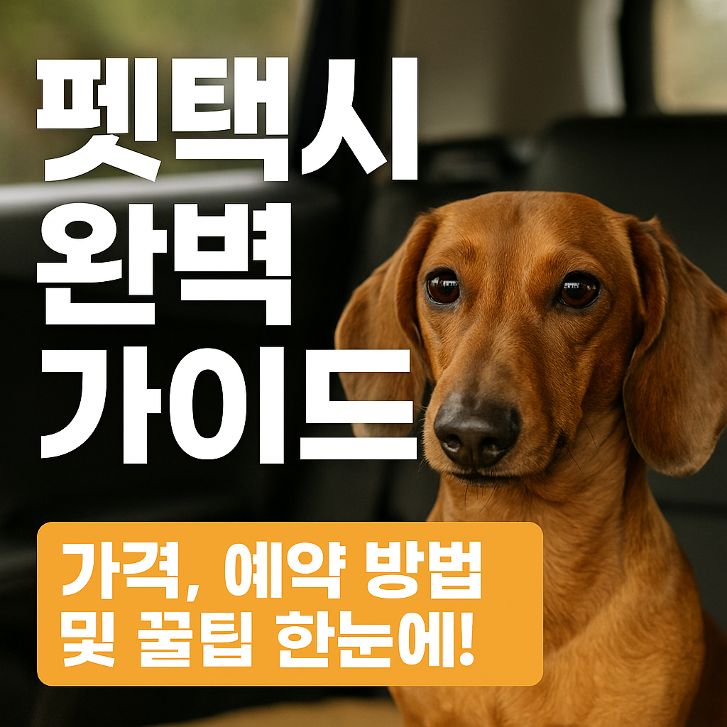 펫택시 가격 예약방법 및 꿀팁