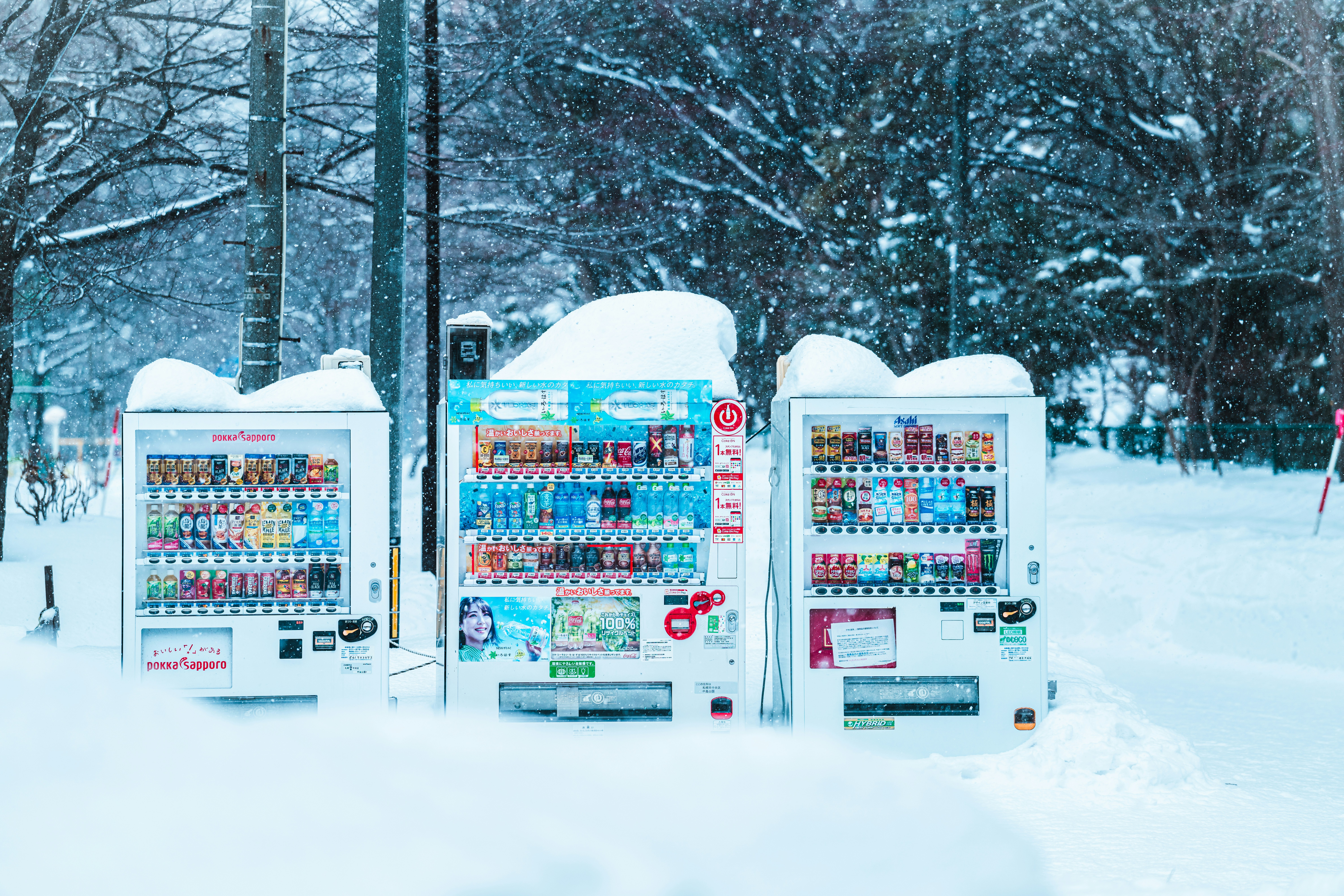 찬또 톡파원 등장! ❄삿포로 눈 축제❄ 관련 진