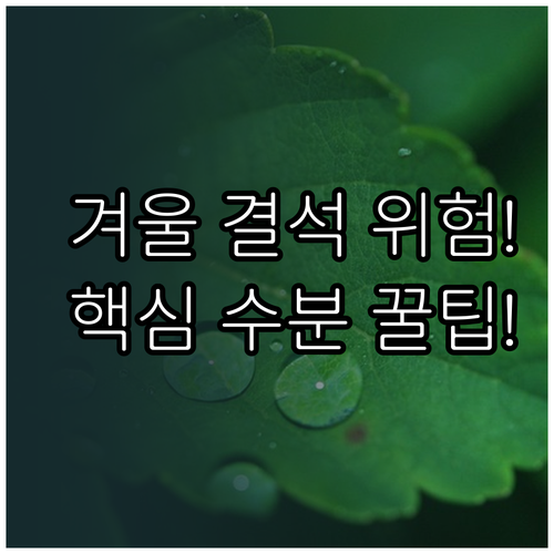 겨울철 요로결석 예방을 위한 핵심 수..