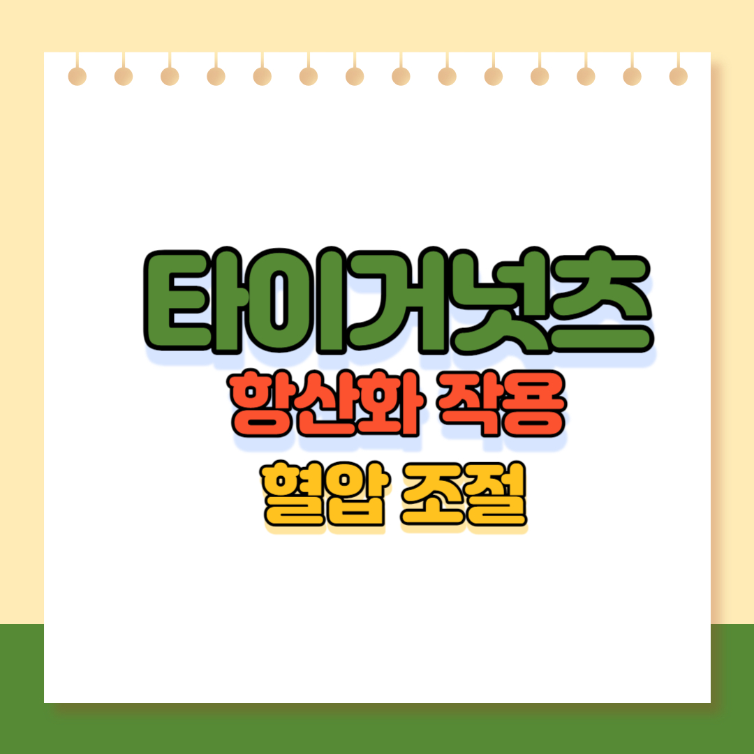 타이거넛츠 이미지