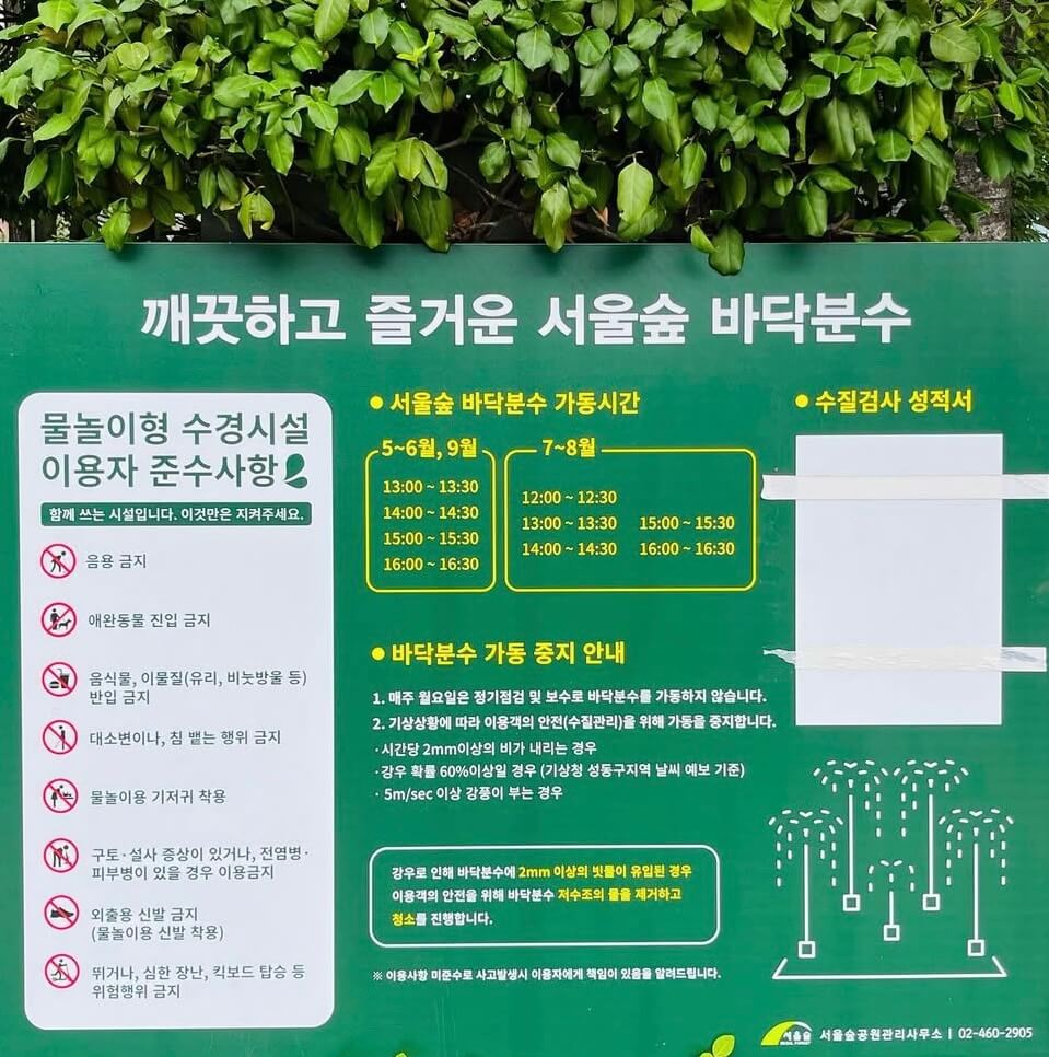 2025 서울숲 튤립 구경 가이드 관련사진