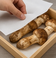 송이버섯 보관방법