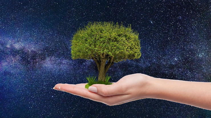 식목일 나무심기 행사