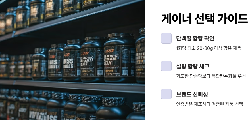 게이너 보충제 고르는 팁과 추천