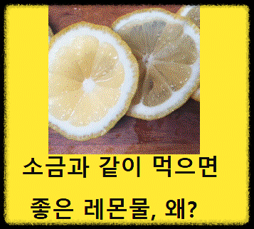 레몬을 즙내서 물에 타서 마신다