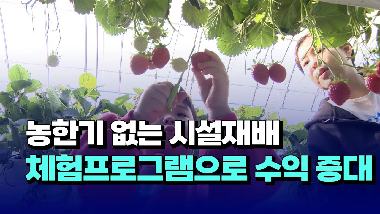 농한기 수익 아이템 건조채소 장아찌 씨앗판매 체험농장_4