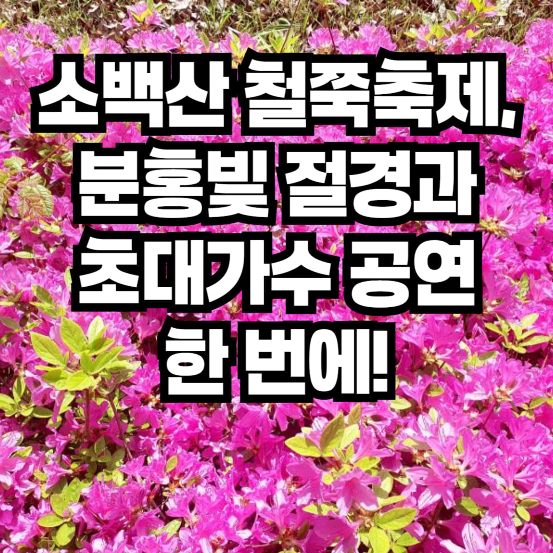 소백산 철쭉축제, 단양&middot;영주 일정 총정리