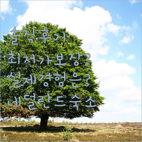 세벤눔 하스테리 리에버 헤멜 숙박 후..