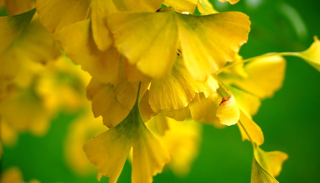 여신거래 안심차단 한눈에 알아보기